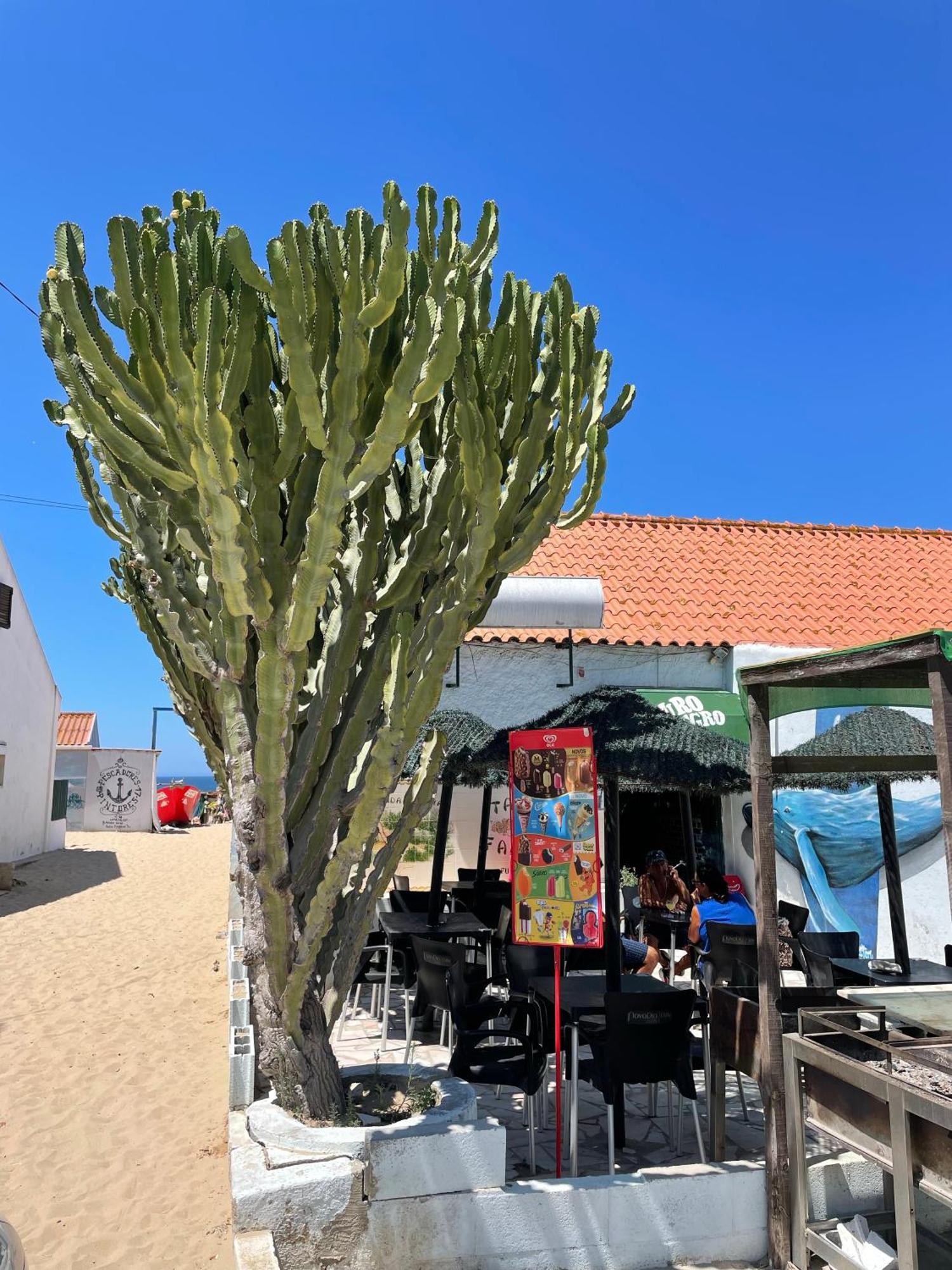 Sea View & Sundown, 150M From The Beach And Surf Spots Кошта-да-Капаріка Екстер'єр фото